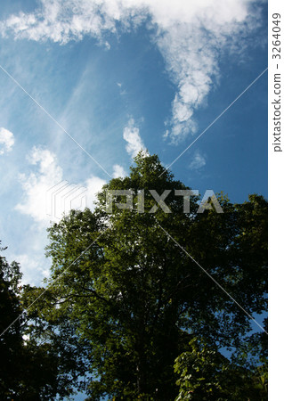 Nature  Nature  3264049