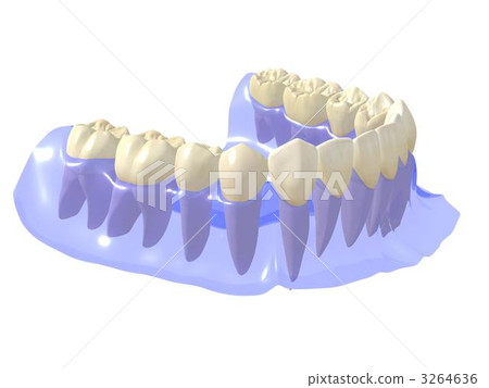Mandible permanent tooth row Mandible permanent tooth row 3264636