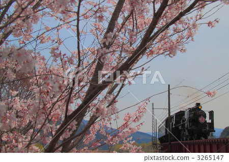 ooi river, oigawa railway, traffic image 3265147