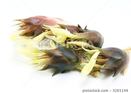 秋花5件水平位置 秋花5件水平位置 3265149