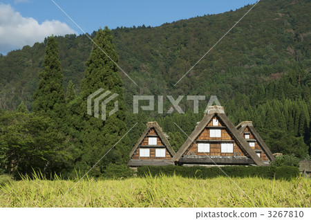 Shirakawago 3267810