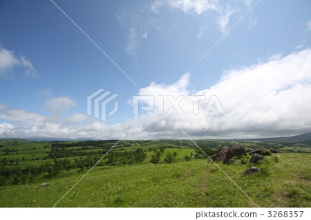 放牧 牧場 草原 3268357