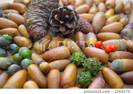 秋天果子桌照片 3268574