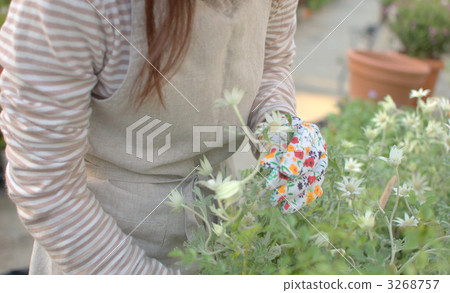 一個女人種花 3268757