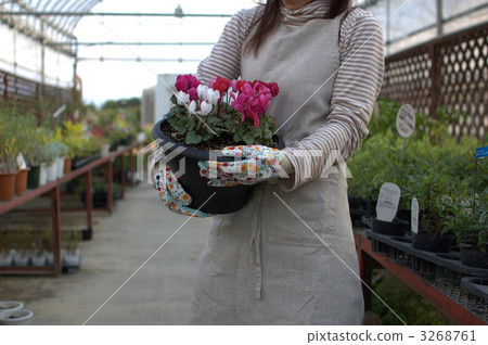 Flowers and women Flowers and women 3268761