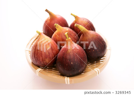 無花果 無花果 3269345