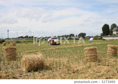 Scenery of autumn scenery reaping 3271660