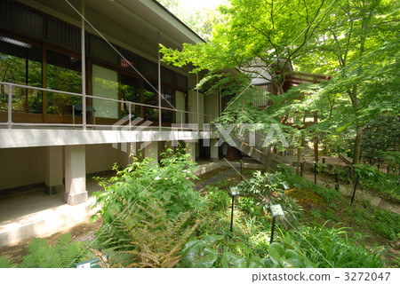 Mushya Onsen Memorial Hall 3272047