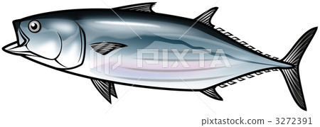 鰹魚 綠色蔬菜 新鮮的魚 3272391