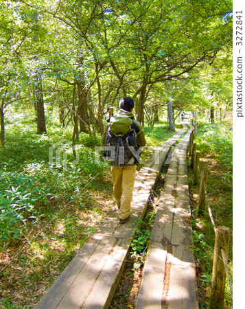 走在樹路的一個人 3272841