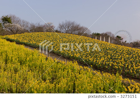 日立海欣公園 日立海欣公園 3273151