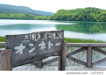 Lake shore of Onne tow 3273351