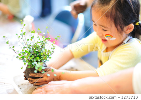 Moss making ball Moss making ball 3273710