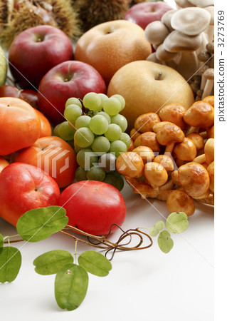 裝配 集會 梨 3273769