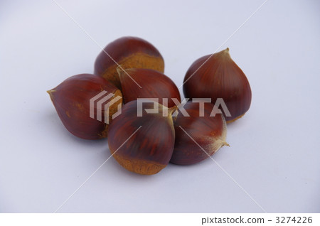 Nanuri fruit of Nanakuri Nanuri fruit of Nanakuri 3274226