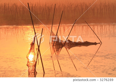 A stationary net that hits the sun A stationary net that hits the sun 3276289