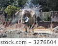 Elephant bathing ♪ 3276604
