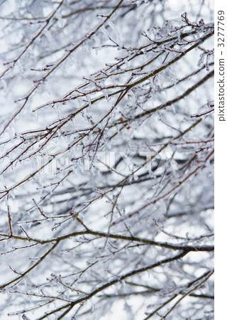 Rain ice Rain ice 3277769