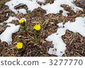 福庫格和剩下的雪 3277770