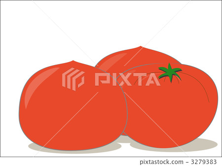Vegetable tomato 3279383