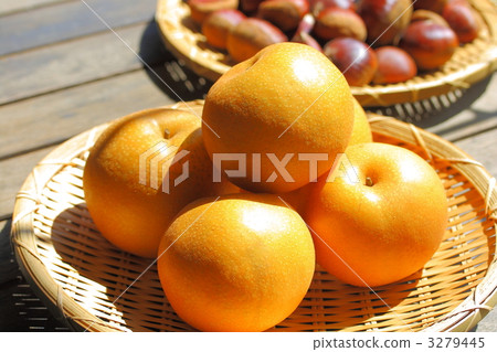 Toyomi梨和栗子 Toyomi梨和栗子 3279445