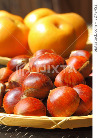 板栗和梨 3279452