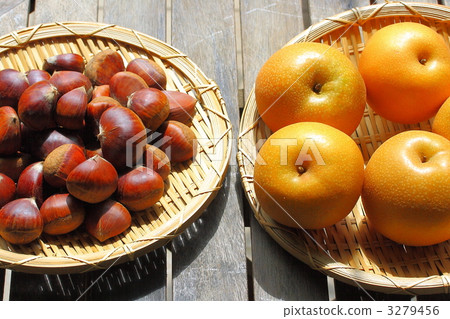 Toyomi梨和栗子 3279456