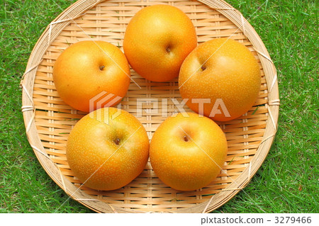 Toyomizu pear 3279466