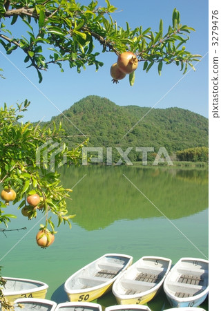 Autumn Hirosawa pond 3279476