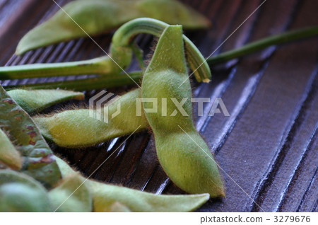 Tanba black soybean edamame 3279676