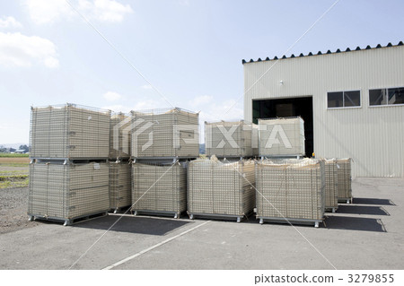 水稻 稻米 米 3279855