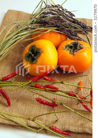 autumnal, crop, crops 3279970