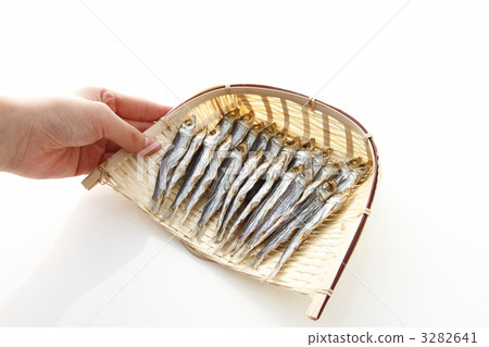 沙丁魚 魚 脂眼鯡 3282641