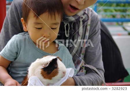 聯繫動物園 3282923