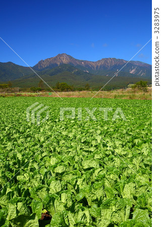 Yatsugatake and highland vegetables 3283975