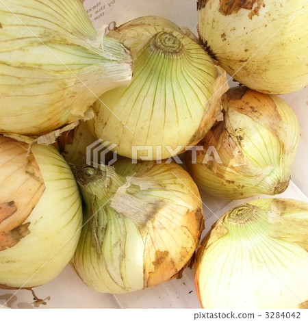 Treatment of new onion 3284042