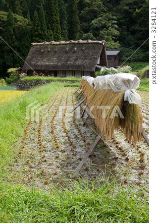 Shirakawa volumn秋天視圖⑯ 3284121