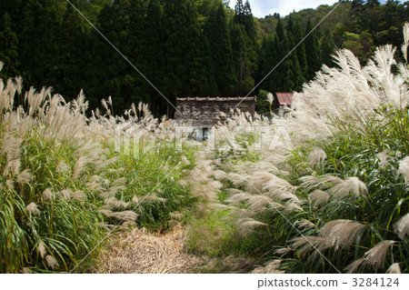 Shirakawa volumn autumn view ⑲ 3284124