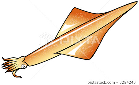 spear squid, squid, mollusk 3284243