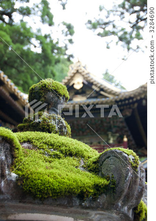 Lantern and moss 3284690