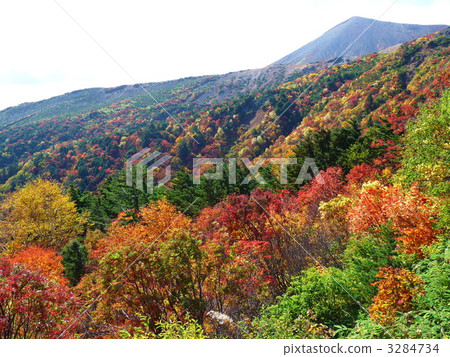 Bandai Azuma Skyline autumn leaves of the garden of Tengu 3284734