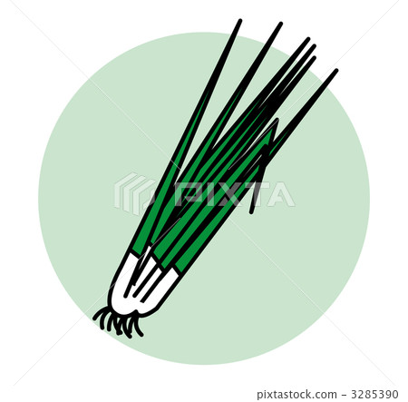Green onion Green onion 3285390
