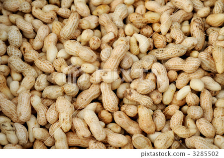 peanuts  3285502
