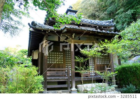 Visit the famous Meigetsuin in the hydrangea temple Visit the famous Meigetsuin in the hydrangea temple 3285511