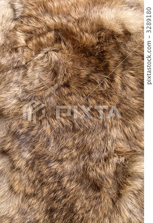 毛皮背景材料,毛皮,時尚 毛皮背景材料,毛皮,時尚 3289180