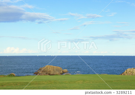 物種沿海夏天 3289211