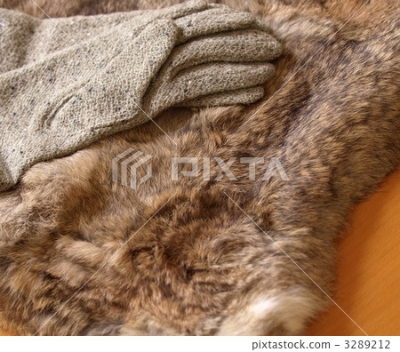 冬季準備,毛皮和手套,外出 冬季準備,毛皮和手套,外出 3289212