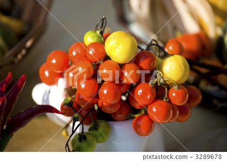 Flower bloom Flower bloom 3289678