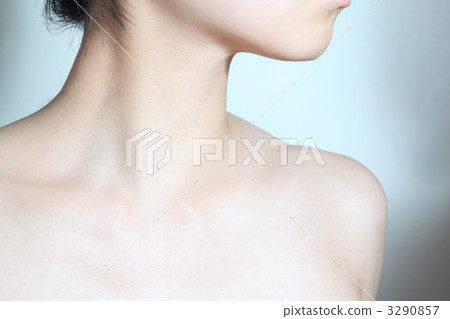 領口 露肩 肩頸 3290857