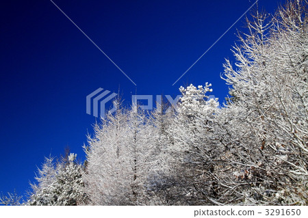 Ice sky and blue sky Ice sky and blue sky 3291650